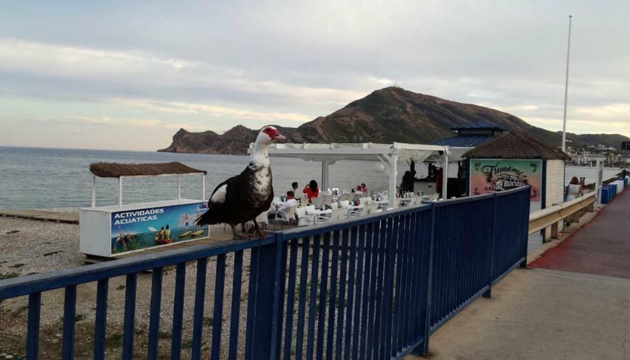 Camping Santa Clara Altea Exteriér fotografie